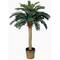4ft. Sago Silk Palm Tree in Wicker Basket Pot